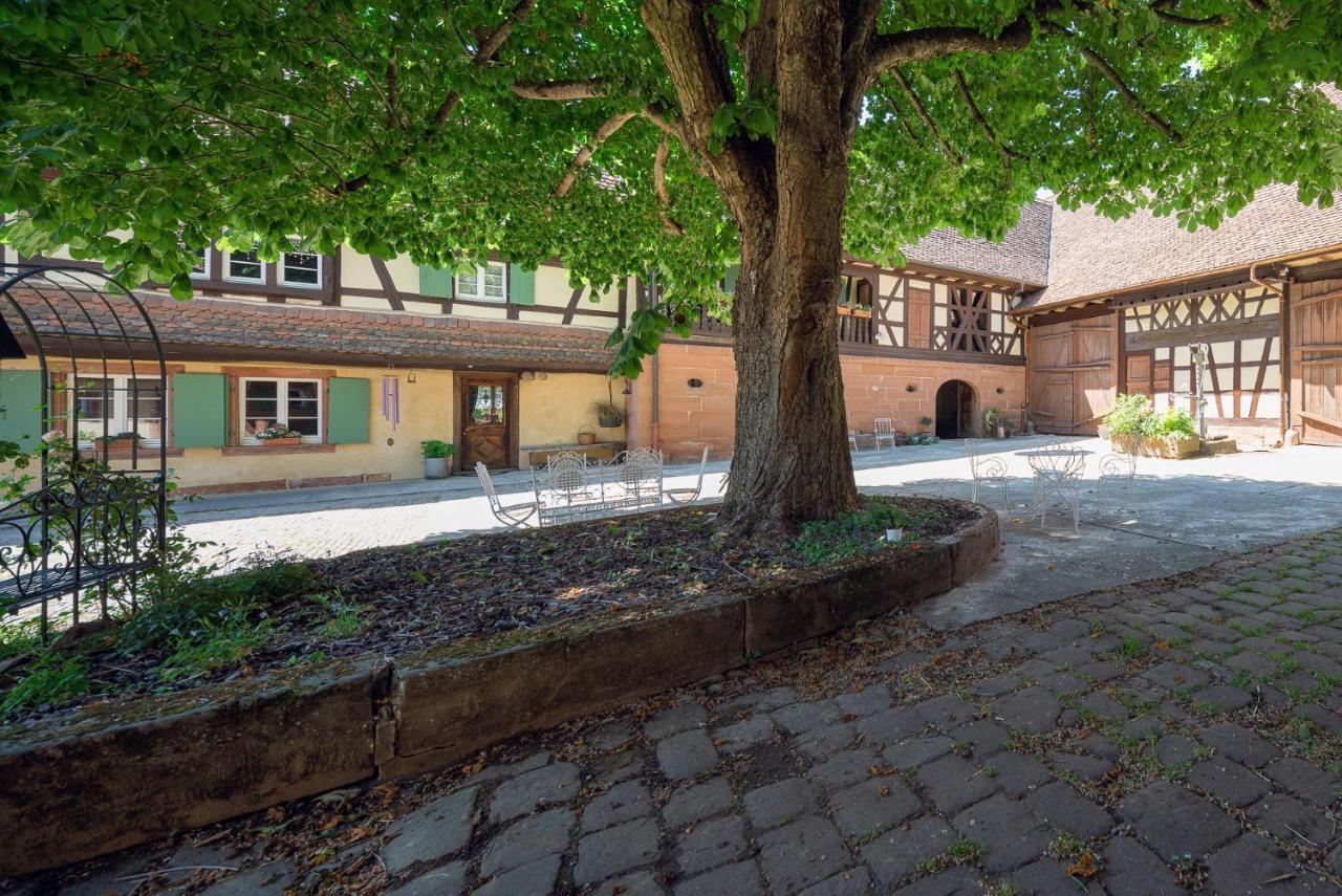 Au Fil Du Temps Imbsheim Exterior foto