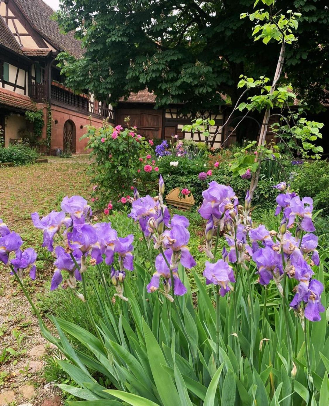 Au Fil Du Temps Imbsheim Exterior foto